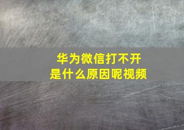 华为微信打不开是什么原因呢视频