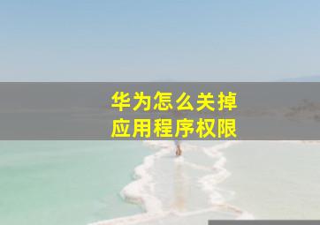 华为怎么关掉应用程序权限