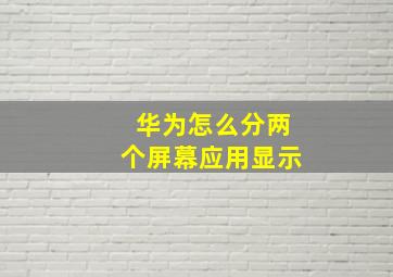 华为怎么分两个屏幕应用显示