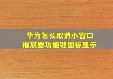 华为怎么取消小窗口播放器功能键图标显示