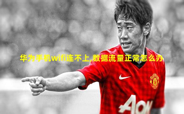 华为手机wifi连不上,数据流量正常怎么办
