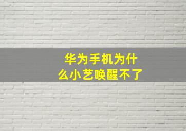 华为手机为什么小艺唤醒不了