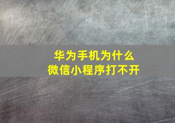 华为手机为什么微信小程序打不开