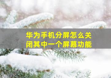 华为手机分屏怎么关闭其中一个屏幕功能