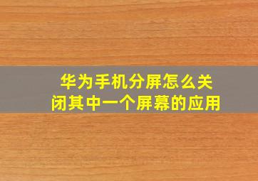 华为手机分屏怎么关闭其中一个屏幕的应用