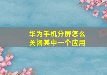 华为手机分屏怎么关闭其中一个应用