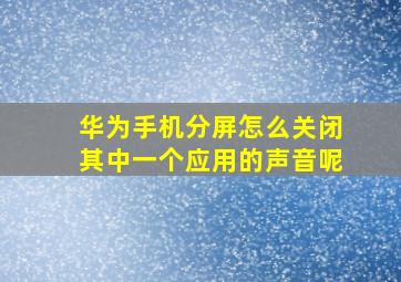 华为手机分屏怎么关闭其中一个应用的声音呢