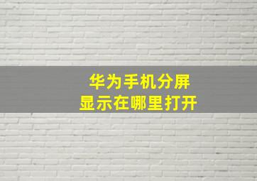 华为手机分屏显示在哪里打开