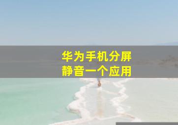 华为手机分屏静音一个应用