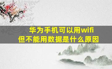 华为手机可以用wifi但不能用数据是什么原因