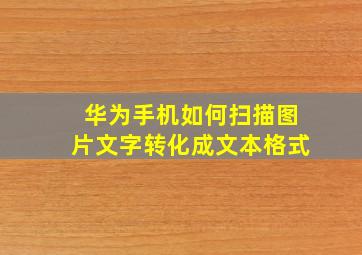 华为手机如何扫描图片文字转化成文本格式