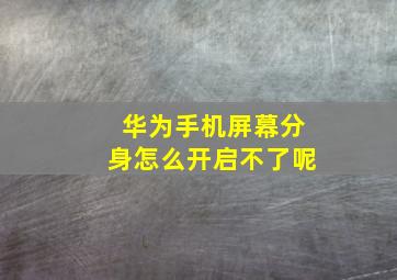 华为手机屏幕分身怎么开启不了呢