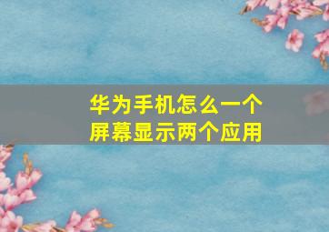 华为手机怎么一个屏幕显示两个应用