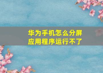 华为手机怎么分屏应用程序运行不了