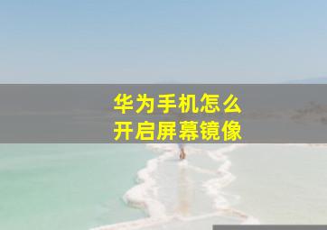 华为手机怎么开启屏幕镜像