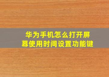 华为手机怎么打开屏幕使用时间设置功能键