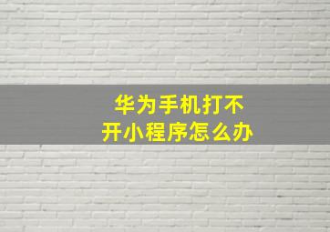 华为手机打不开小程序怎么办