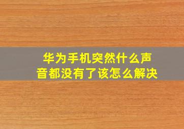 华为手机突然什么声音都没有了该怎么解决