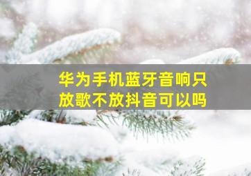 华为手机蓝牙音响只放歌不放抖音可以吗