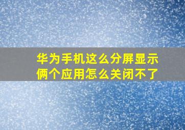 华为手机这么分屏显示俩个应用怎么关闭不了