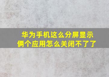 华为手机这么分屏显示俩个应用怎么关闭不了了