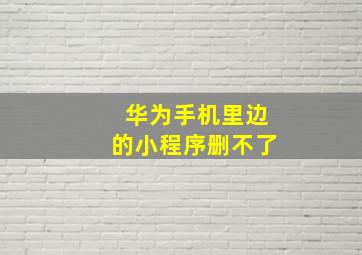 华为手机里边的小程序删不了