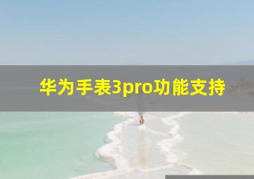 华为手表3pro功能支持