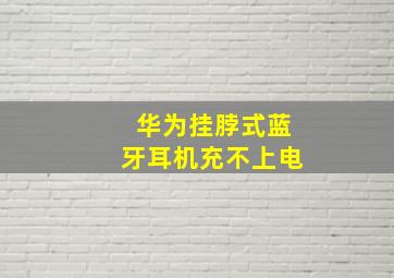 华为挂脖式蓝牙耳机充不上电