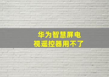 华为智慧屏电视遥控器用不了