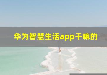 华为智慧生活app干嘛的