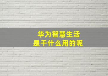 华为智慧生活是干什么用的呢