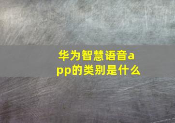 华为智慧语音app的类别是什么