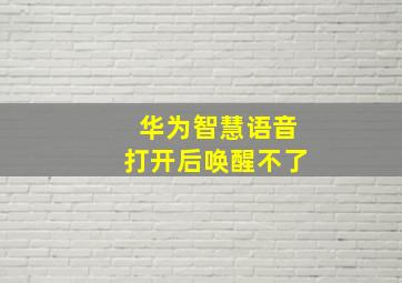 华为智慧语音打开后唤醒不了