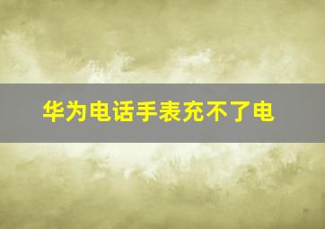 华为电话手表充不了电