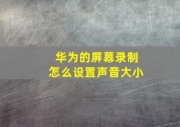 华为的屏幕录制怎么设置声音大小