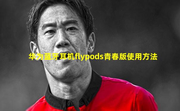 华为蓝牙耳机flypods青春版使用方法