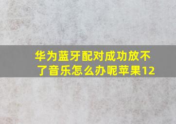 华为蓝牙配对成功放不了音乐怎么办呢苹果12