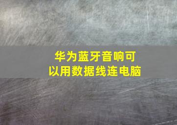 华为蓝牙音响可以用数据线连电脑