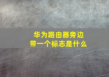 华为路由器旁边带一个标志是什么