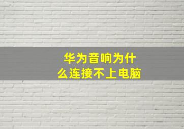 华为音响为什么连接不上电脑