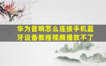 华为音响怎么连接手机蓝牙设备教程视频播放不了