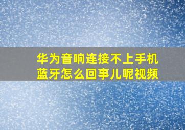 华为音响连接不上手机蓝牙怎么回事儿呢视频