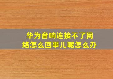 华为音响连接不了网络怎么回事儿呢怎么办