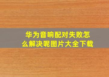 华为音响配对失败怎么解决呢图片大全下载