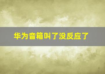 华为音箱叫了没反应了