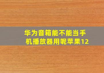 华为音箱能不能当手机播放器用呢苹果12