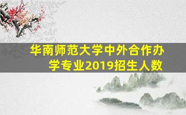 华南师范大学中外合作办学专业2019招生人数