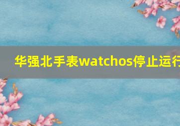 华强北手表watchos停止运行