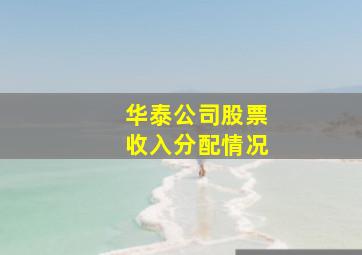 华泰公司股票收入分配情况