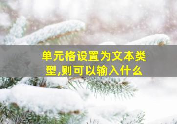 单元格设置为文本类型,则可以输入什么